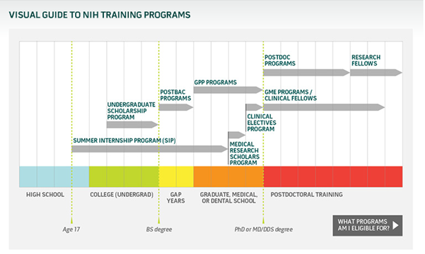 visual guide to NIH training programs